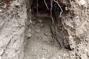 دستگیری 4 حفار غیرمجاز در سوادکوه مازندران