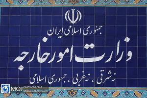 واکنش ایران به مسدودسازی دسترسی به دامنه اینترنتی رسانه‌ های ایرانی