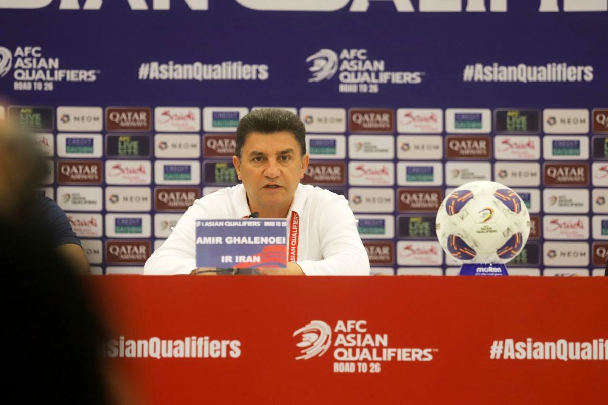 امیر قلعه نویی