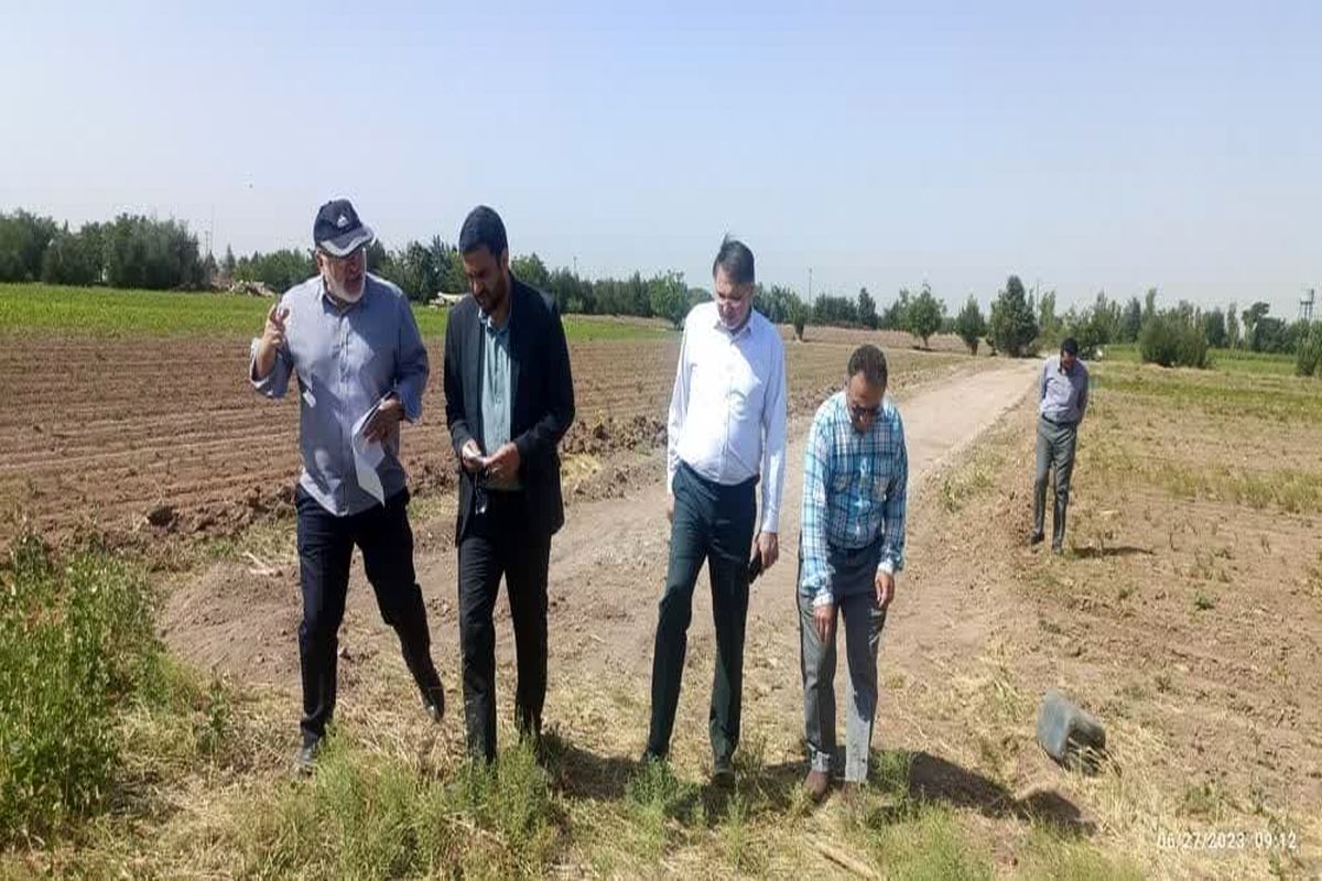 نهالستان سبحان قزوین