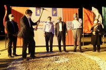 تحقق ۳۱ درصدی بودجه ۱۴۰۰ شهرداری اصفهان تا پایان تیرماه 