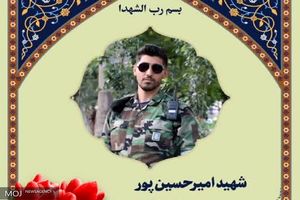 شهادت بسیجی حافظ امنیت در تبریز