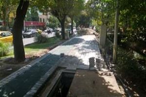 ساماندهی رفیوژ میانی بلوار کشاورز