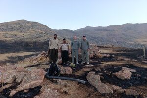 آتش‌سوزی پناهگاه حیات وحش بیستون با تلاش محیط‌بانان و جوامع محلی کنترل شد