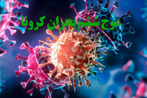 موج ششم بحران کرونا روز به‌ روز در حال شعله‌ورتر شدن است