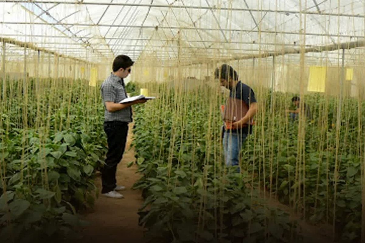 جهاد اشتغال (2)