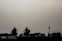 رقابت های مقدماتی جام جهانی چوگان