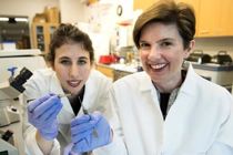 تسریع فرایند بهبود مبتلایان به حمله قلبی با وصله چاپی