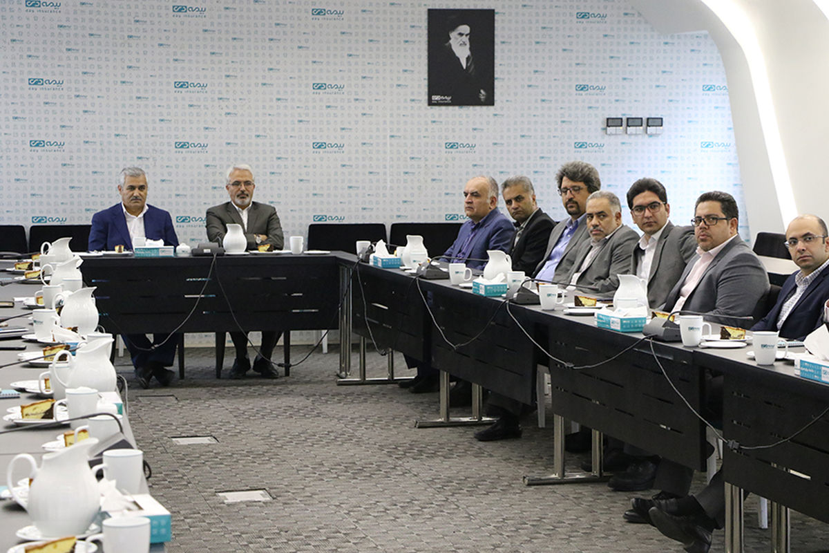 قربانی در بازدید از بیمه دی