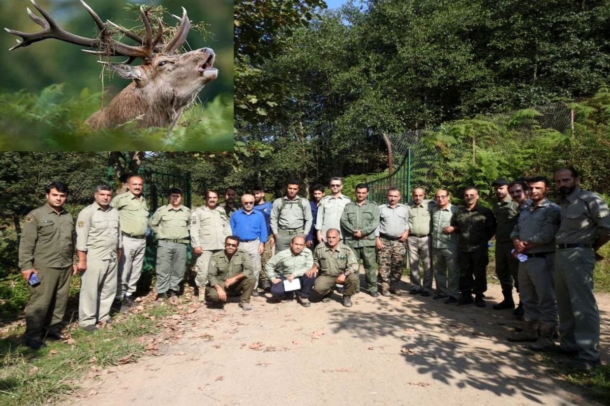 محیط زیست استان گیلان