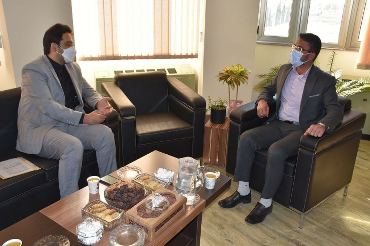 شهبازی