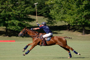 دیدار هیات رئیسه چوگان گیلان با مدیرکل ورزش و جوانان در استان