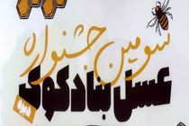 ۲۷ الی ۳۰ بهمن سومین جشنواره عسل بنادکوک دیزه برگزار می شود 