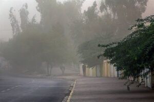 وزش باد نسبتا شدید در قم