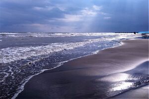۲۱ مرداد؛ روز دریای خزر، یادآور یک هشدار مشترک برای شمال ایران