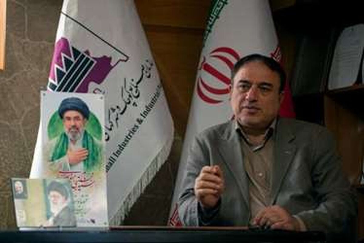 مدیرعامل شرکت شهرک‌های صنعتی استان کرمانشاه