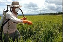 پایش فروشگاه‌های سموم نباتی در محمودآباد