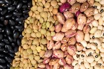 افزایش ۳۷ درصدی حبوبات 