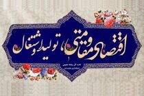 تاکید رهبری بر اقتصاد مقاومتی نشان از ناکافی بودن کارهای دولت است