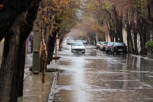 از نفوذ آب به منازل مسکونی بندر امام خمینی در بارندگی اخیر جلوگیری شد