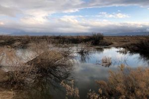 تالاب‌های فارس در مسیر احیاء؛ همکاری همگانی شرط نجات میراث آبی استان