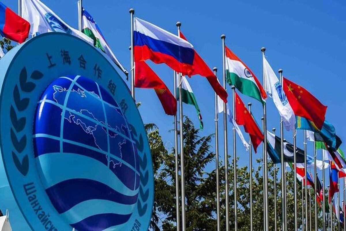 سازمان همکاری شانگهای