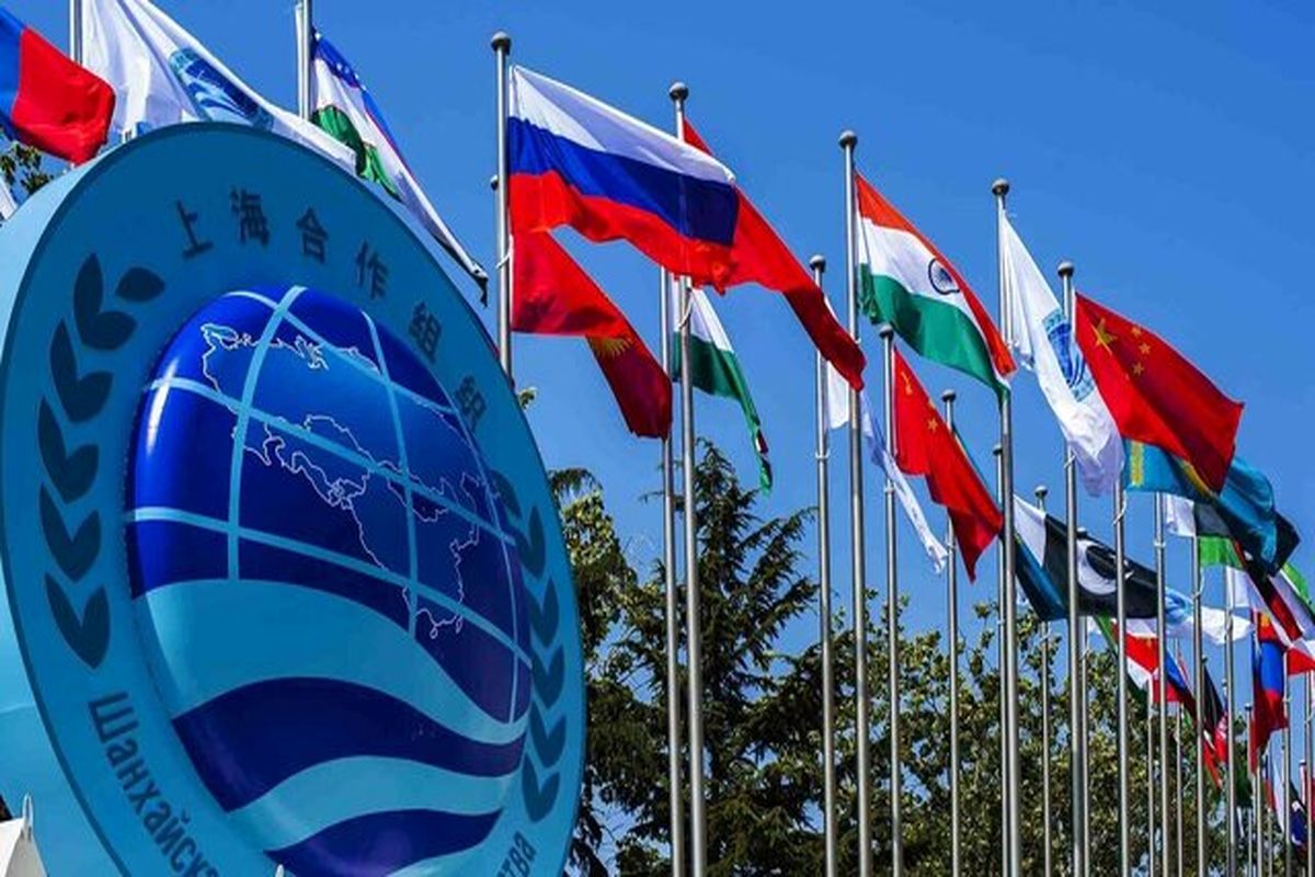 سازمان همکاری شانگهای