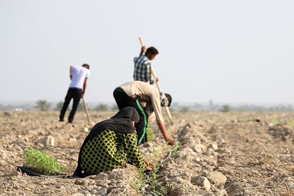 استعداد یابی