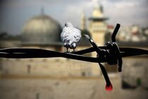 ایران اسلامی تا بازگرداندن حقوق کامل مردم فلسطین از هیچ حمایتی دریغ نخواهد کرد