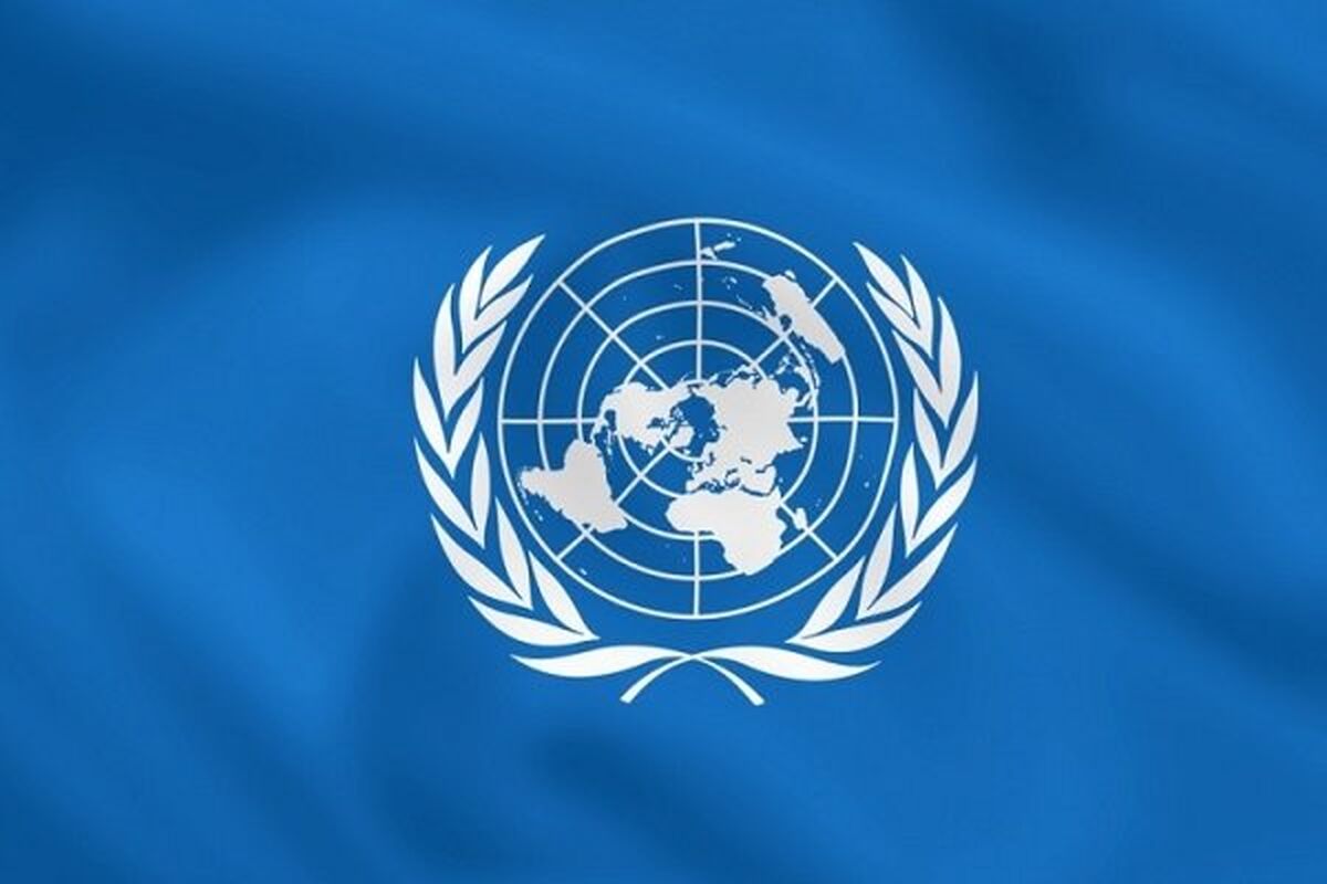 سازمان ملل