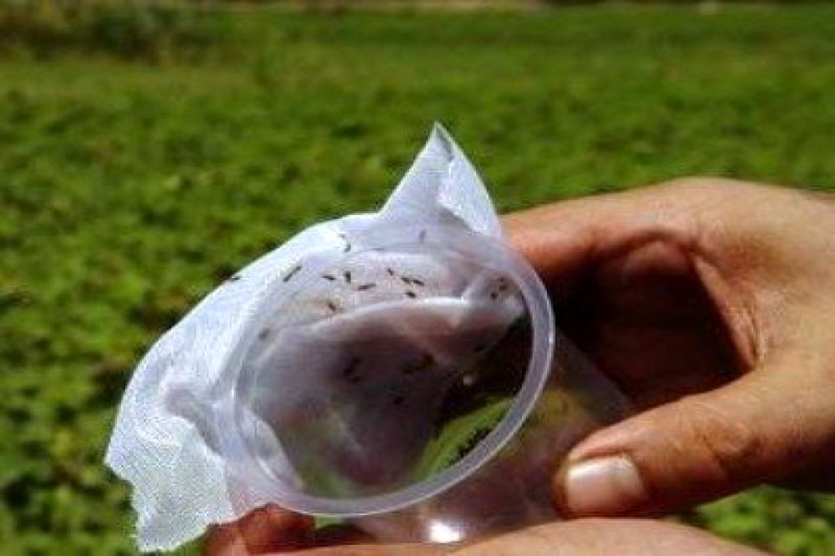 تولیدات پارک علم و فناوری