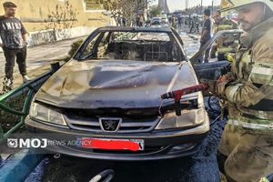 آتش‌سوزی یک دستگاه خودرو در محدوده میدان آزادی بدون مصدوم مهار شد+ تصاویر