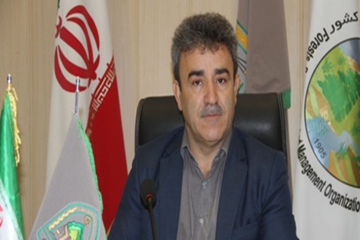 هدایت