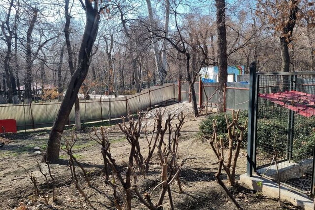 پارک قیطریه