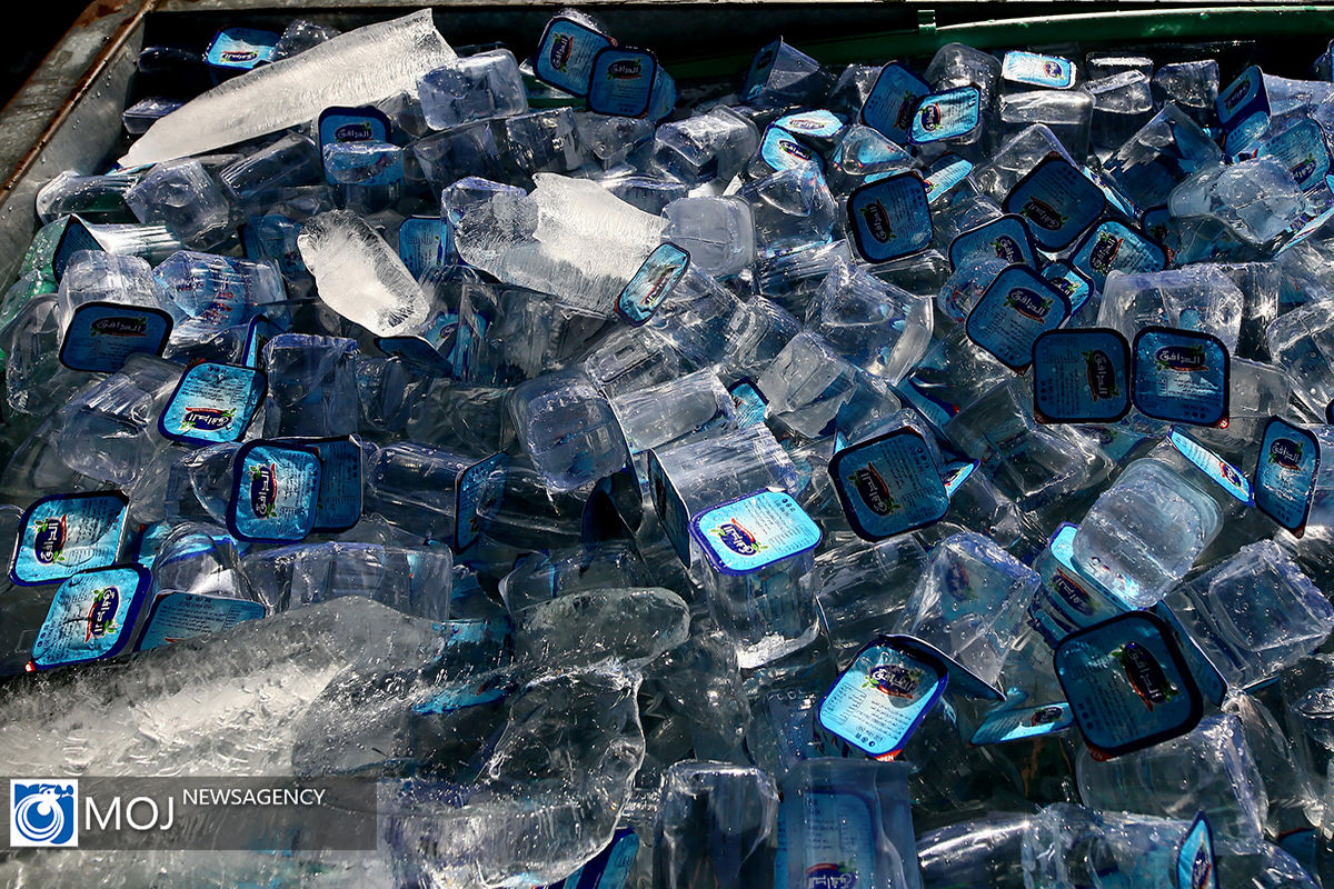 پیاده روی اربعین حسینی مسیر نجف به کربلا