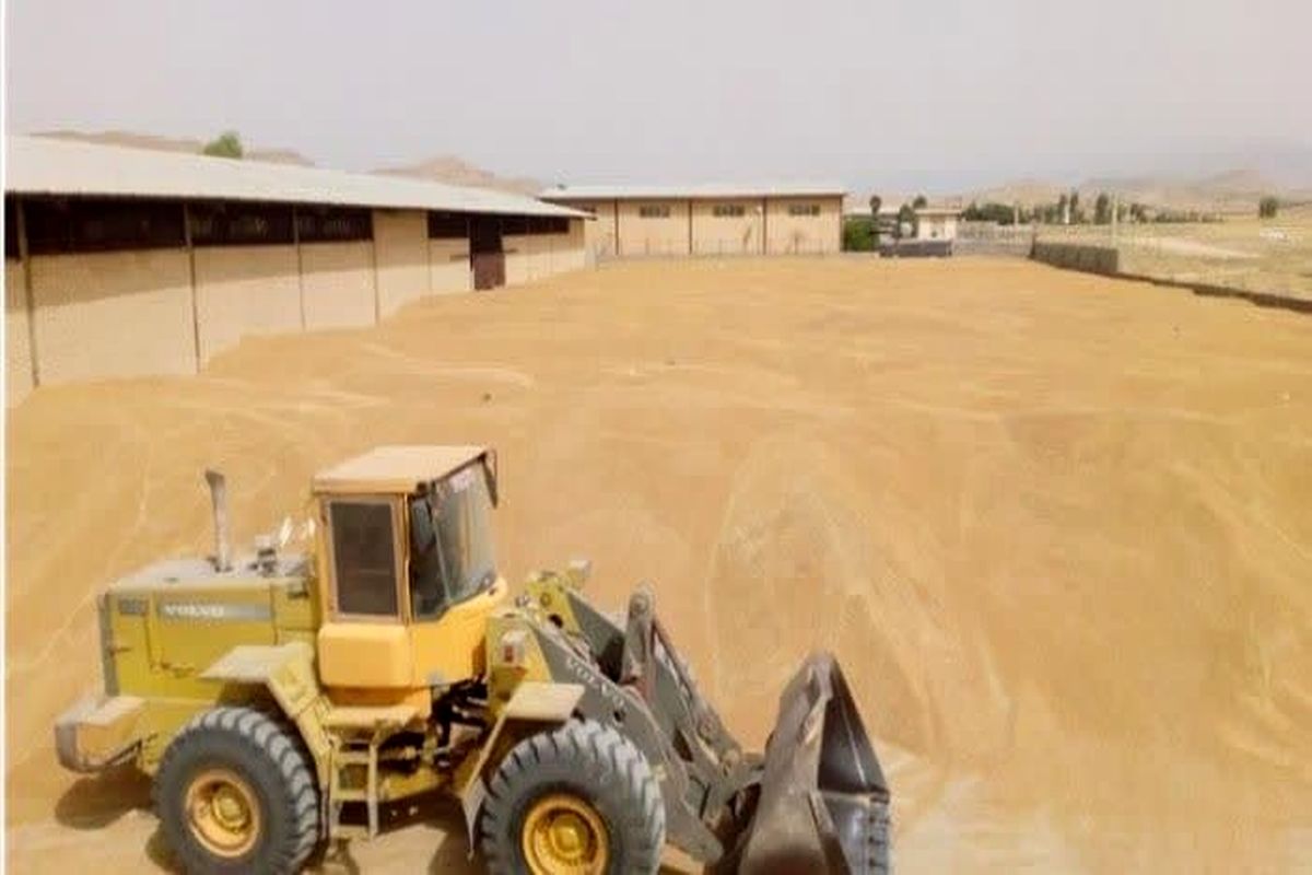 عکس خبر غله