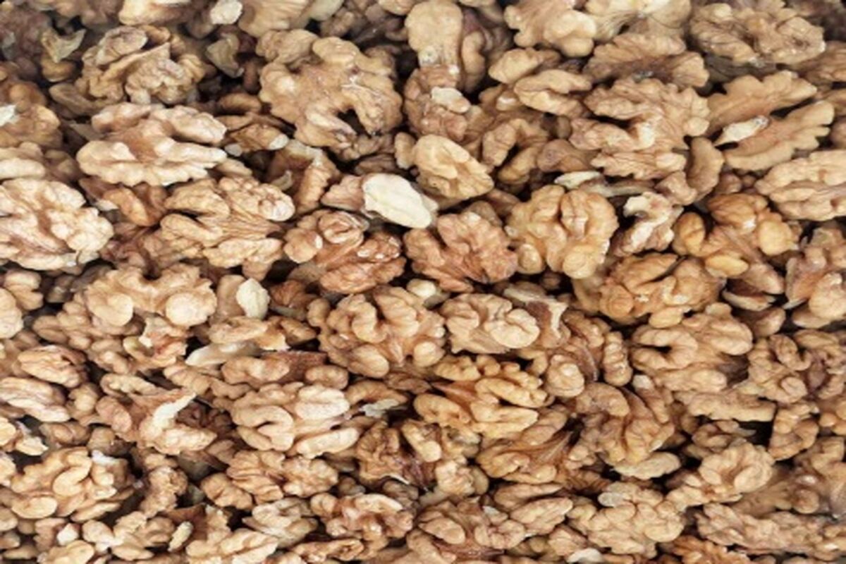 مغز گردو قاچاق
