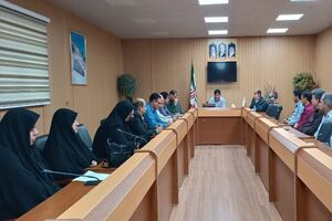 جلسه کارگروه جوانی جمعیت شهرستان مهران برگزار شد