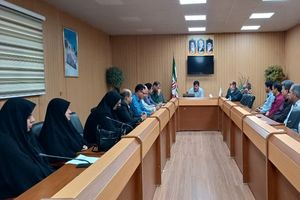جلسه کارگروه جوانی جمعیت شهرستان مهران برگزار شد