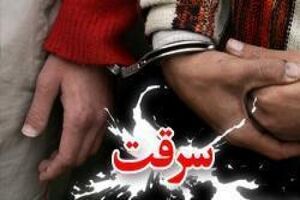 تکذیب شایعه آدم‌ربایی در علی‌آباد/هدف سرقت طلا بوده است