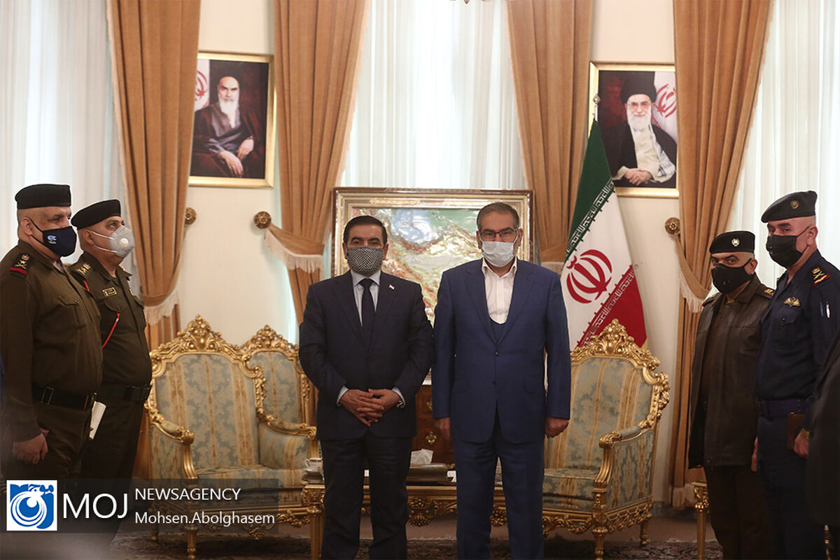 دیدار وزیر دفاع عراق با علی شمخانی