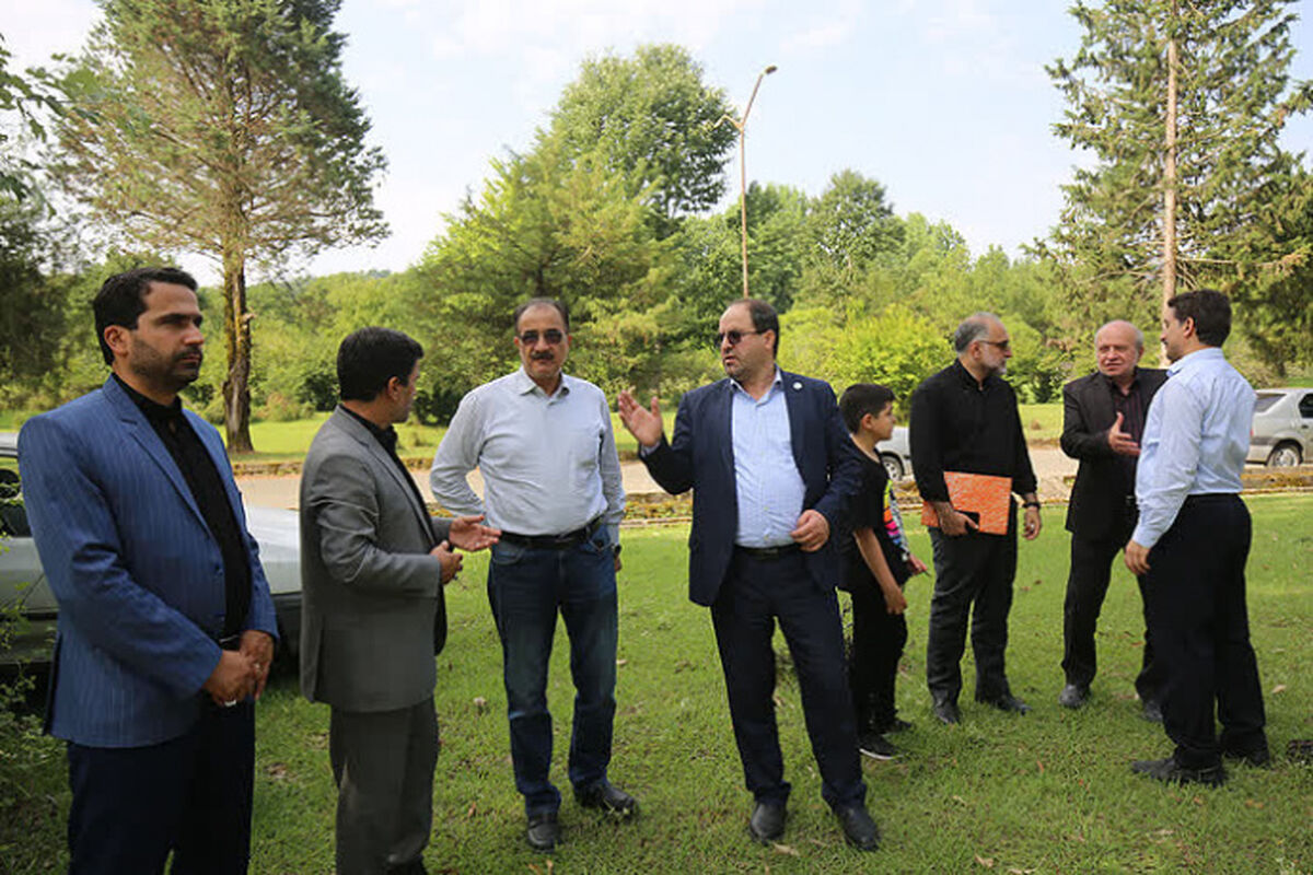 دانشگاه تهران