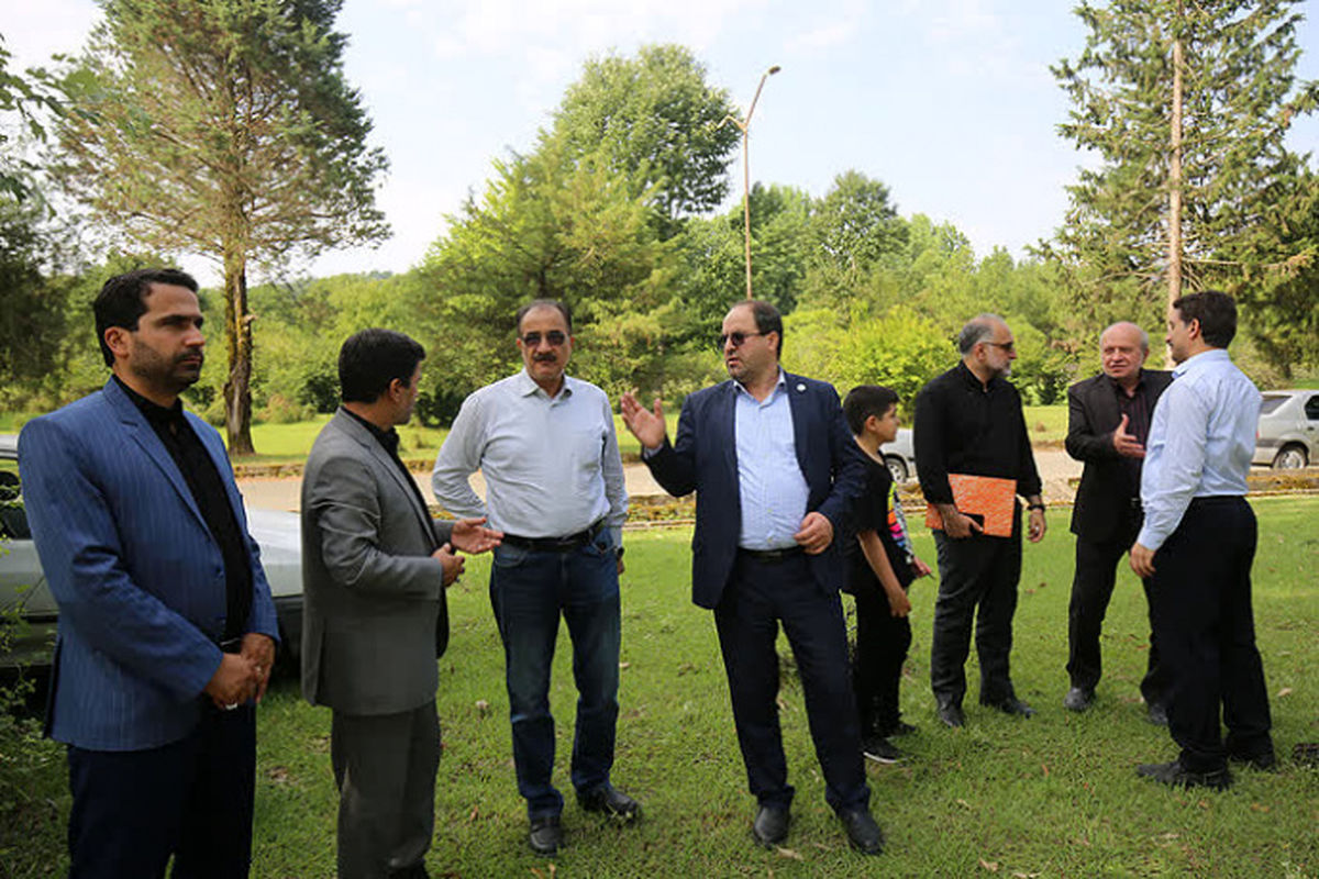 دانشگاه تهران