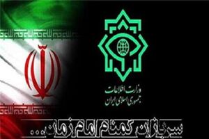 بزرگترین محموله مشروبات الکلی در غرب هرمزگان کشف شد