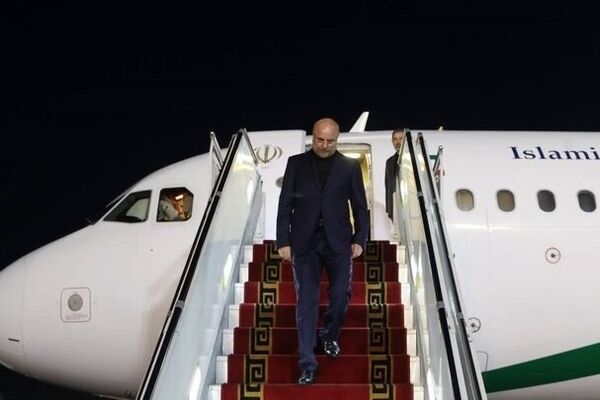 رئیس مجلس وارد تهران شد