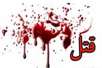 قاتل خبرنگار ایرنا در زمان ارتکاب جنایت دارای قوه تمییز و ادراک بوده است