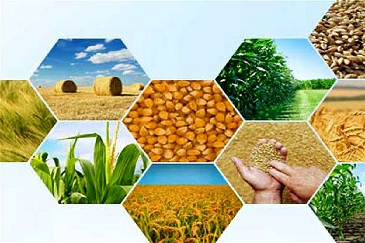 تورم تولید کننده زراعت و باغداری