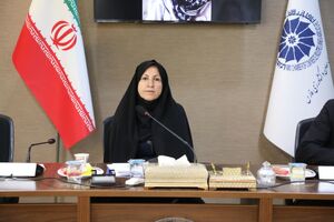 اجرای طرح " زنان کارآفرین مسئول " در فارس 