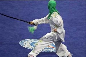 حضور ووشوکار شاهین شهری در اردوی تیم ملی