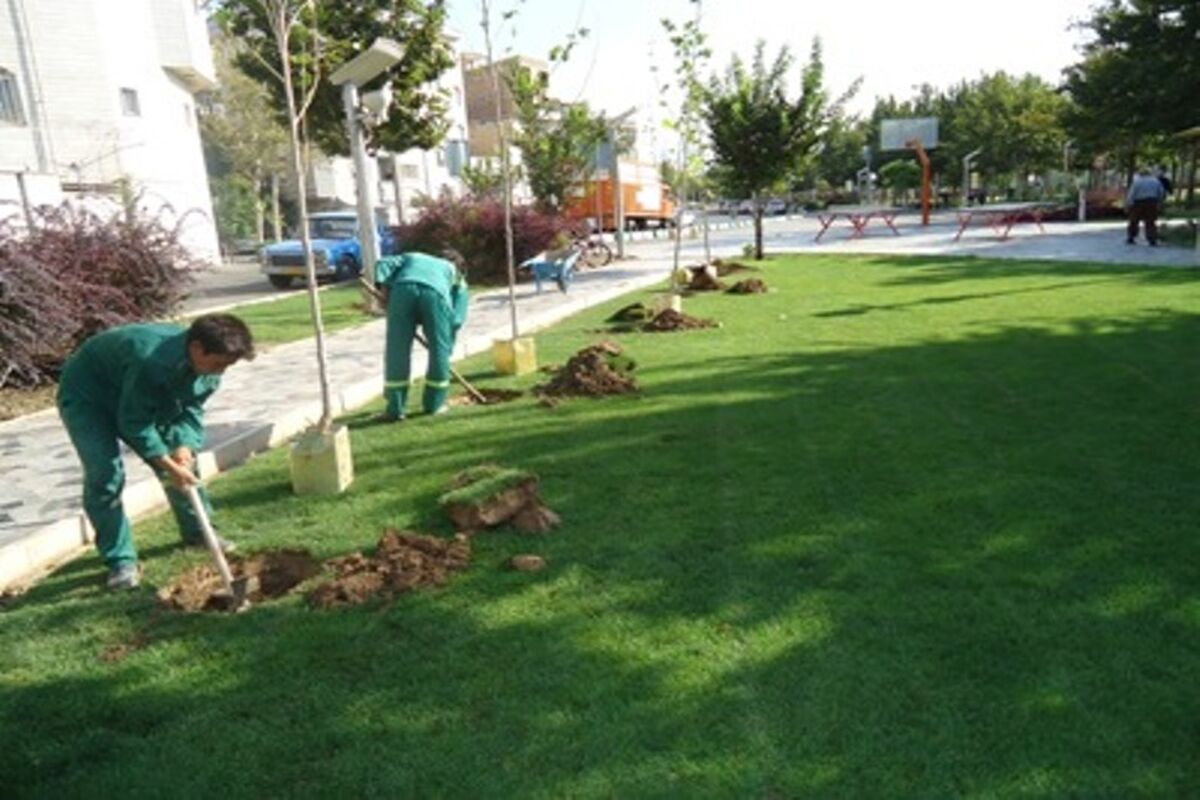 فضای سبز شهری